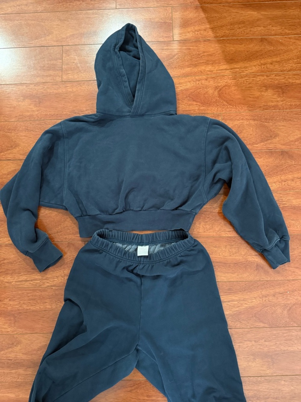 Aritzia TNA Cozy AF Fleece Cropped Hoodie and Sweatpant Blue/Black Set (M)